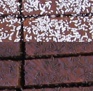 Toxc La Polar cacao y leche